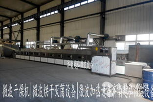 一体化微波干燥杀菌设备 产品特点、应用领域与市场价格分析