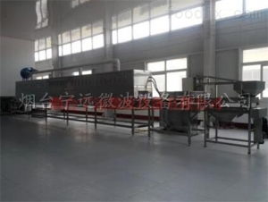 食品微波干燥设备工作原理详解