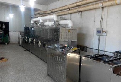 微波科技赋能产业升级 海南微波干燥杀菌设备的技术优势与应用前景